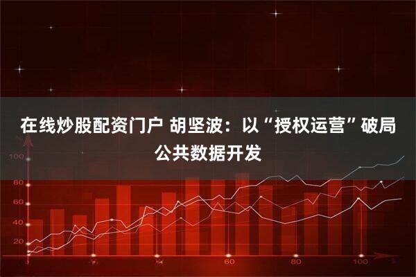 在线炒股配资门户 胡坚波：以“授权运营”破局公共数据开发