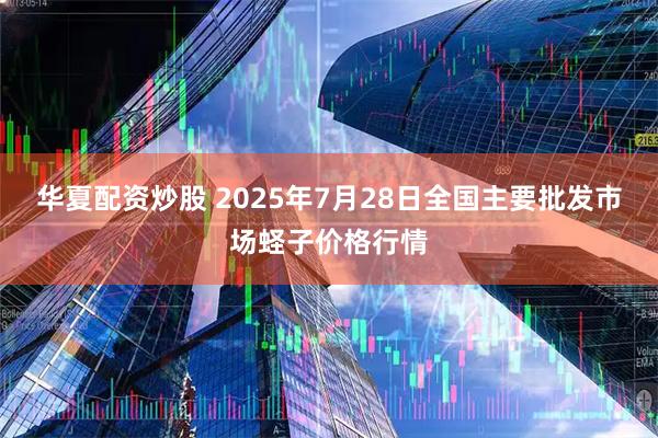 华夏配资炒股 2025年7月28日全国主要批发市场蛏子价格行情